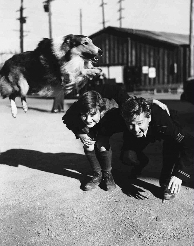 Lassie se vrací - Z natáčení - Pal, Roddy McDowall, Mickey Rooney