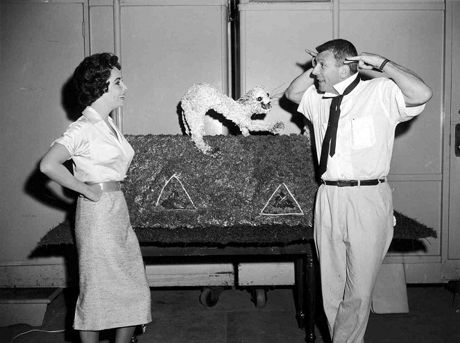 Die Katze auf dem heißen Blechdach - Dreharbeiten - Elizabeth Taylor, Richard Brooks