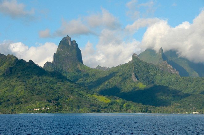 Ultimate Wave Tahiti, The - De la película
