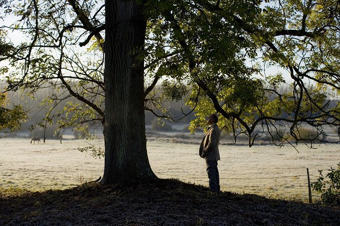L'Arbre et la forêt - Filmfotók