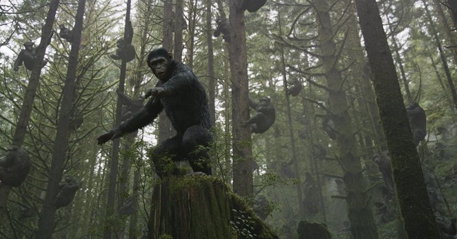 Planeta dos Macacos: A Revolta - Do filme