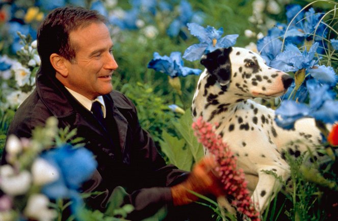 Csodás álmok jönnek - Filmfotók - Robin Williams