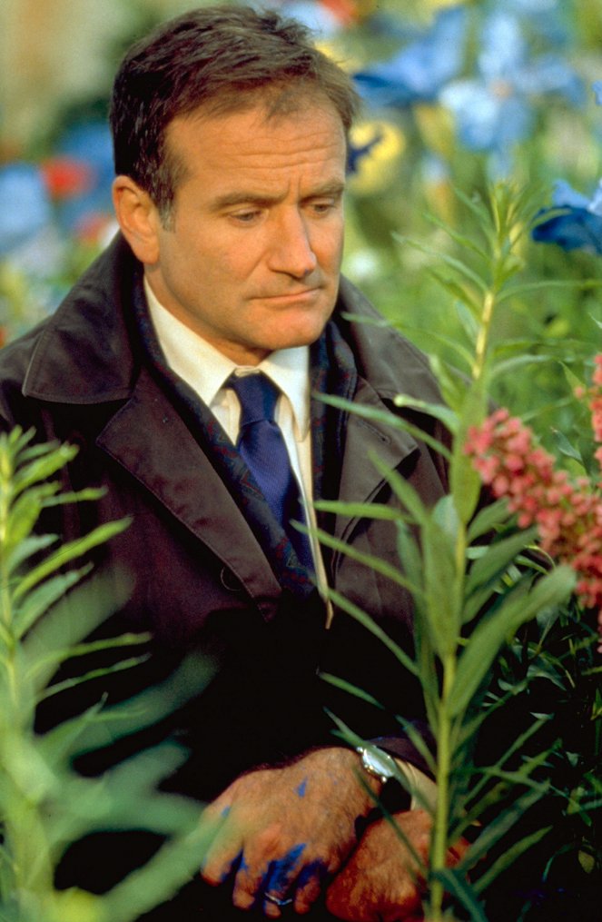 Hinter dem Horizont - Filmfotos - Robin Williams