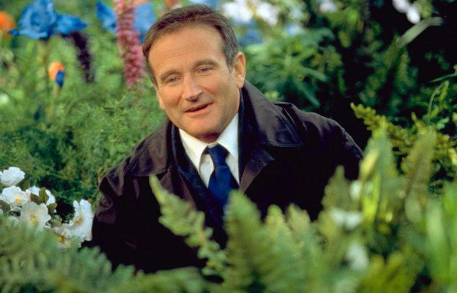 Para Além do Horizonte - Do filme - Robin Williams