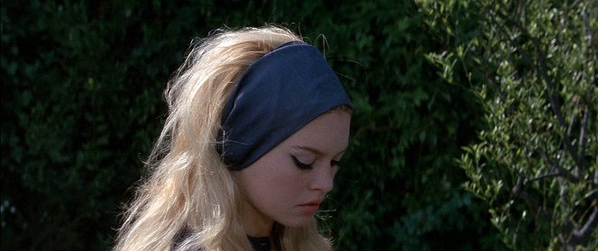Bardot, la méprise - Van film - Brigitte Bardot