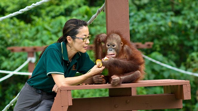 Orangutan Rescue - Do filme