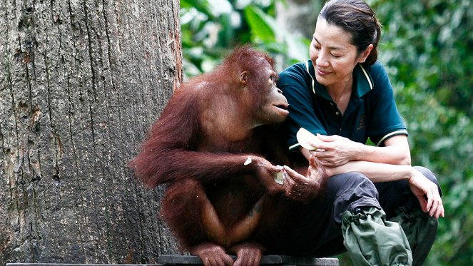 Orangutan Rescue - Filmfotos