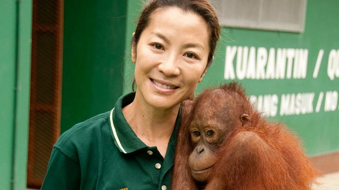 Orangutan Rescue - Kuvat elokuvasta