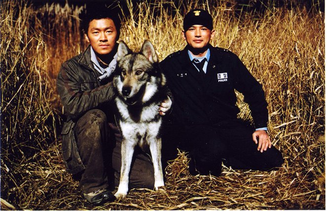 The Last Wolf - Photos - Dong-geun Yang, Jeong-min Hwang