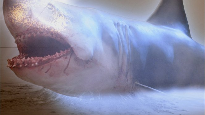Ghost Shark - Kuvat elokuvasta