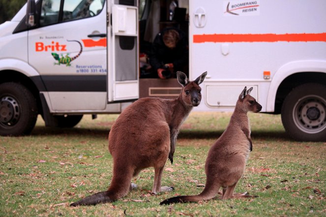 Australien in 100 Tagen - De la película