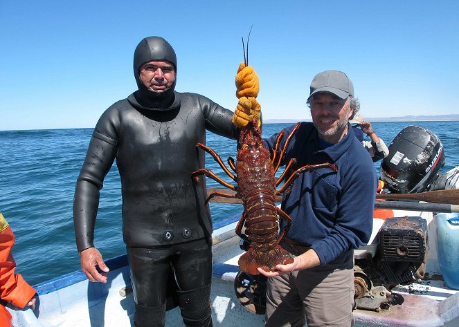 Saving the Ocean with Carl Safina - Photos