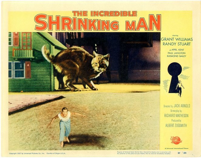 The Incredible Shrinking Man - Lobby karty - Grant Williams, kot Orangey
