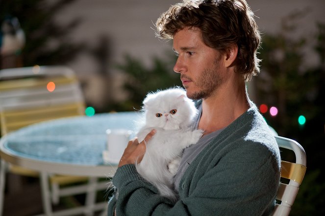 The Right Kind of Wrong - Film - Ryan Kwanten