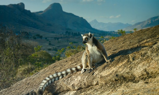 Island of Lemurs: Madagascar - Van film