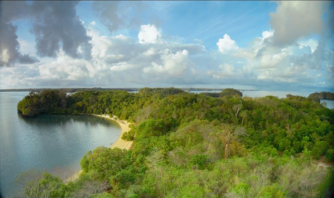 Ilha dos Lêmures - Madagascar - Do filme