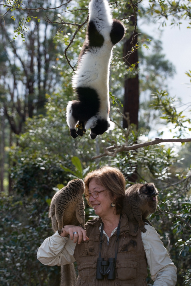 Madagaskar: Království lemurů 3D - Z natáčení