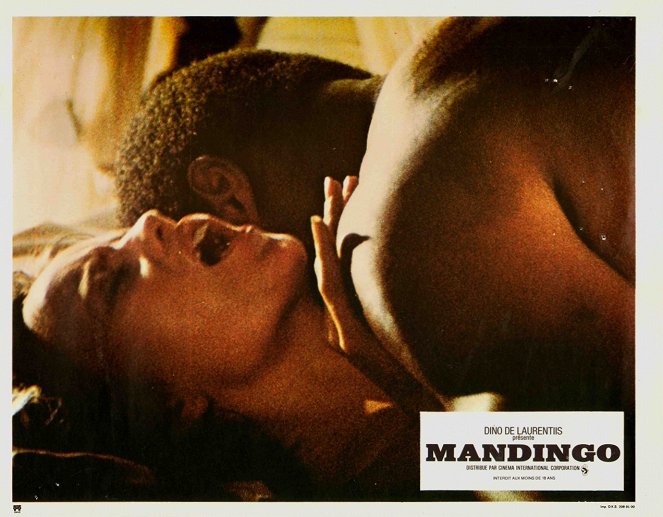 Mandingo - Lobbykaarten
