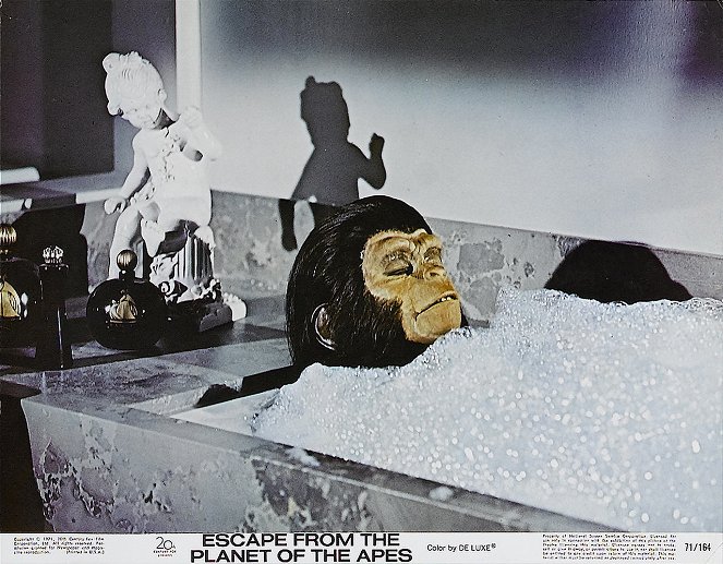 Escape from the Planet of the Apes - Lobby Cards - Kim Hunter
