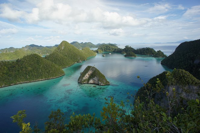 Nature’s Greatest Secret – The Coral Triangle - Photos