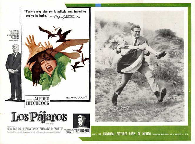 Os Pássaros - Cartões lobby - Rod Taylor