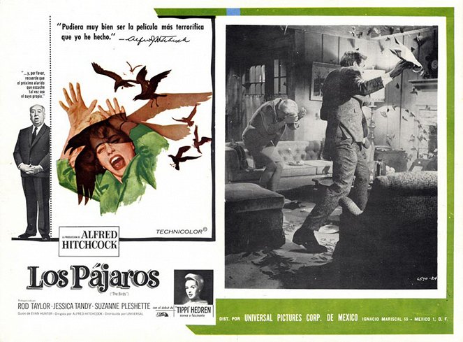 The Birds - Lobby Cards