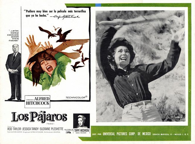 The Birds - Lobby Cards - Suzanne Pleshette