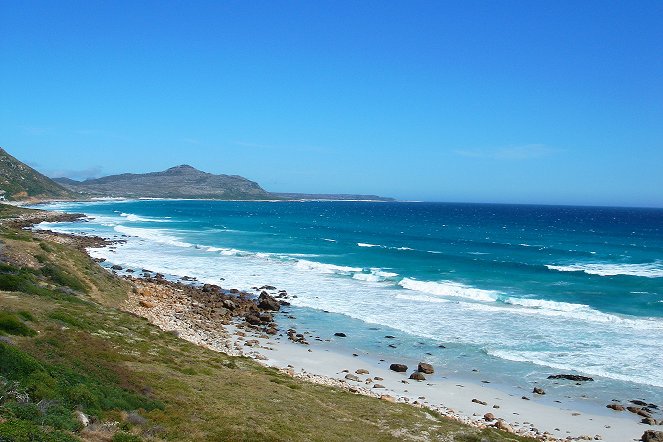 Afrique du Sud : La région du Cap - Film