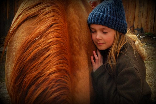 Herzenssache - Ein Pferd für die ganze Familie - Filmfotos