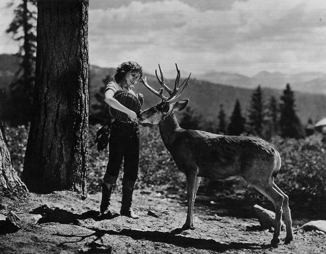 Sequoia - De la película - Jean Parker