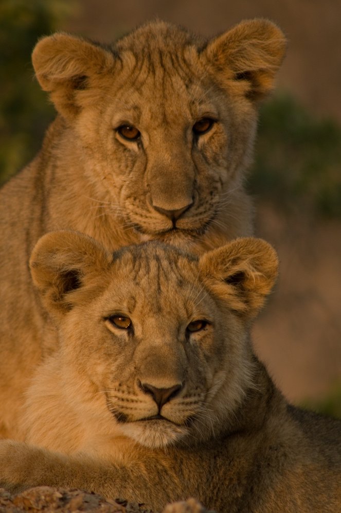 Namibia’s Desert Kingdom - Filmfotos