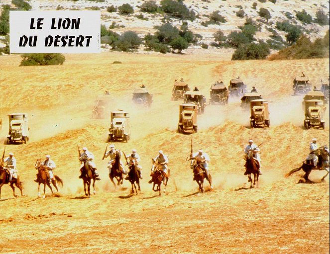 A sivatag oroszlánja - Vitrinfotók