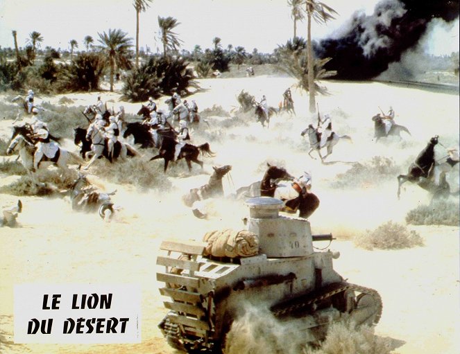 A sivatag oroszlánja - Vitrinfotók