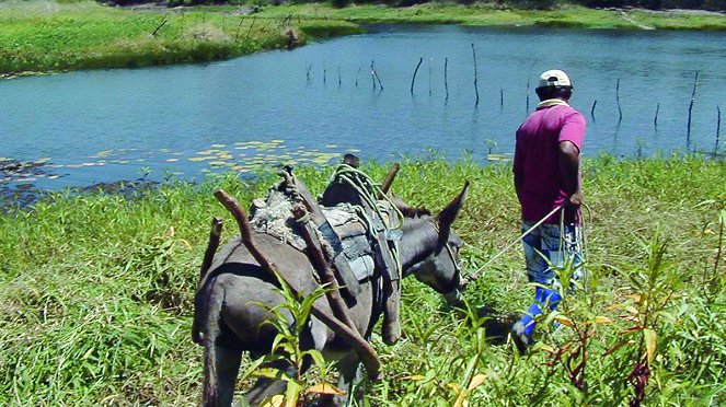 Hautes-terres - De filmes