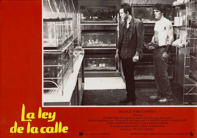 Rumble Fish - Lobby Cards