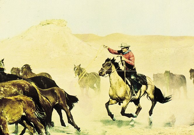 Valdézovi koně - Z filmu - Charles Bronson