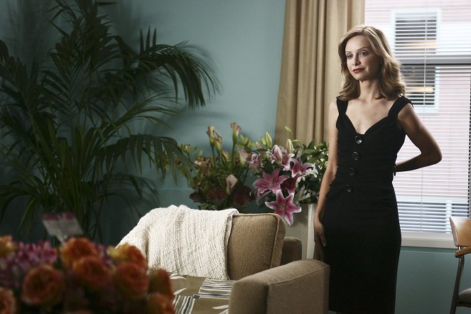 Brothers & Sisters - Season 1 - Affairs of State - Photos - Calista Flockhart
