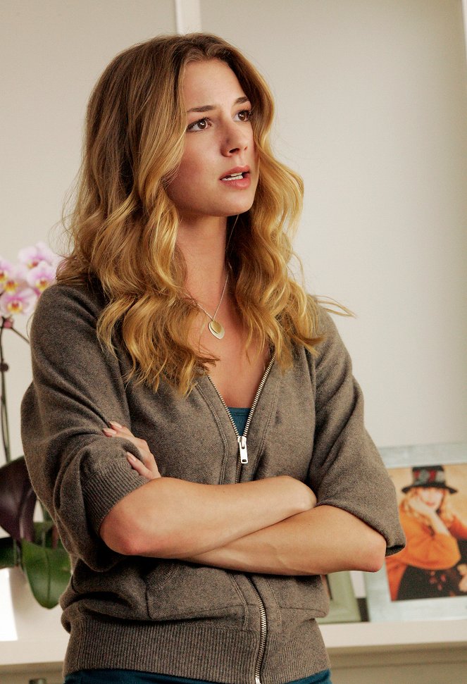 Brothers & Sisters - Season 1 - The Other Walker - Photos - Emily VanCamp
