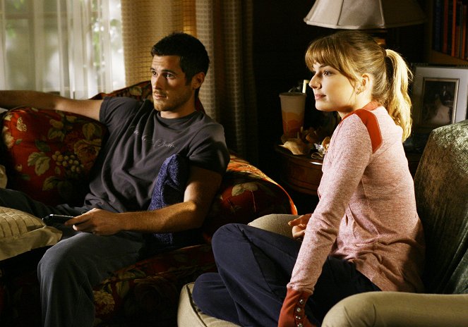 Brothers & Sisters - States of the Union - Photos - Dave Annable, Emily VanCamp