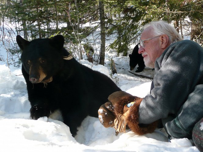 The Natural World - Season 28 - Bearwalker of the Northwoods - Do filme