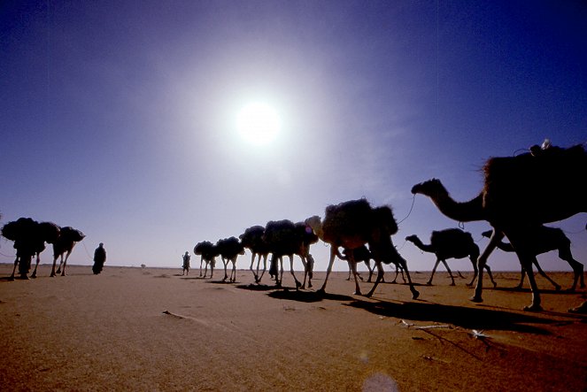 Tuareg: Los Guerreros de las Dunas - Van film