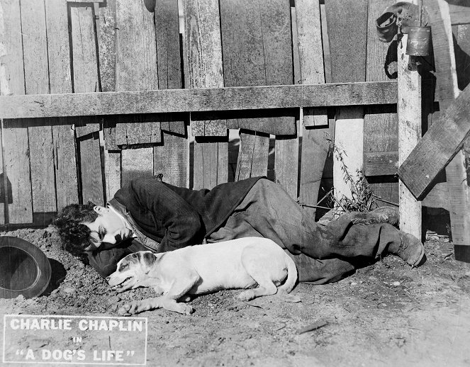 A Dog's Life - Lobbykarten - Charlie Chaplin