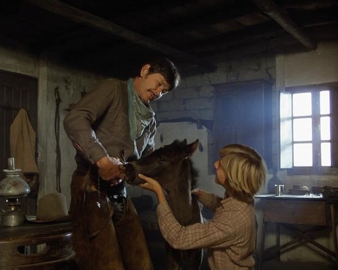 Konie Valdeza - Z filmu - Charles Bronson