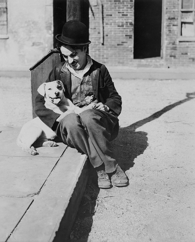 A Dog's Life - Filmfotos - Charlie Chaplin