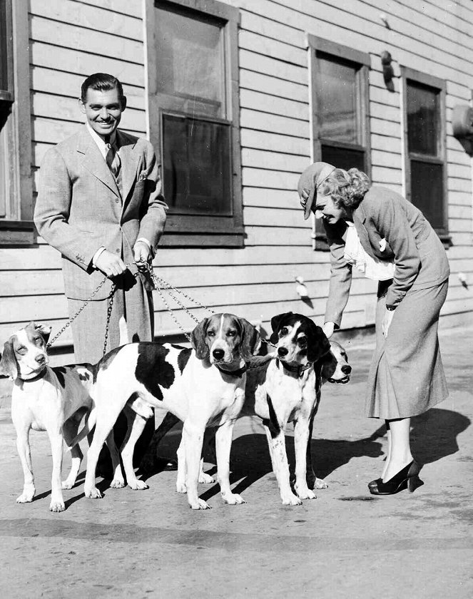 Wife vs. Secretary - Forgatási fotók - Clark Gable, Jean Harlow