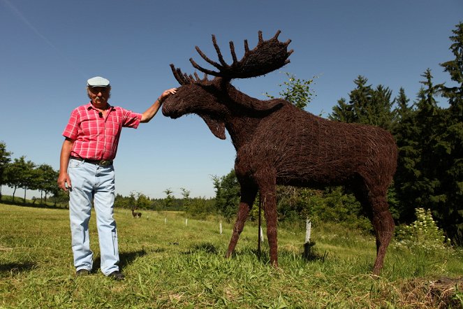 The Elk Story - Photos