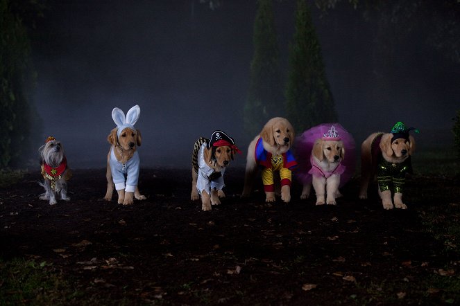 Spooky Buddies - Der Fluch des Hallowuff- Hunds - Filmfotos