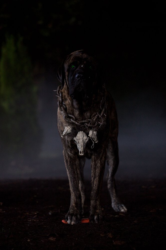 Les Copains et la légende du chien maudit - Film