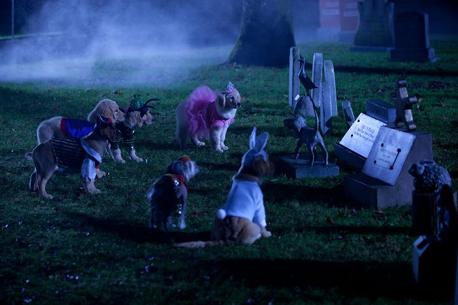 Spooky Buddies - Der Fluch des Hallowuff- Hunds - Filmfotos