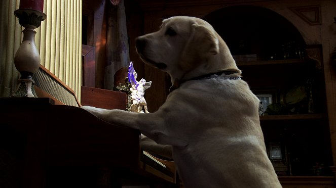 The Dog Who Saved Halloween - Kuvat elokuvasta